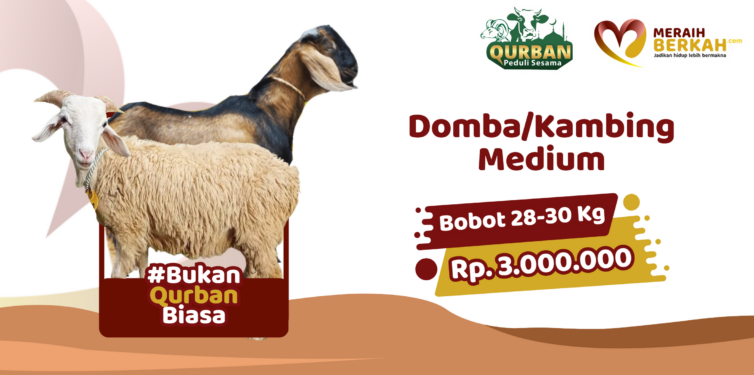 Qurban Domba / Kambing Medium